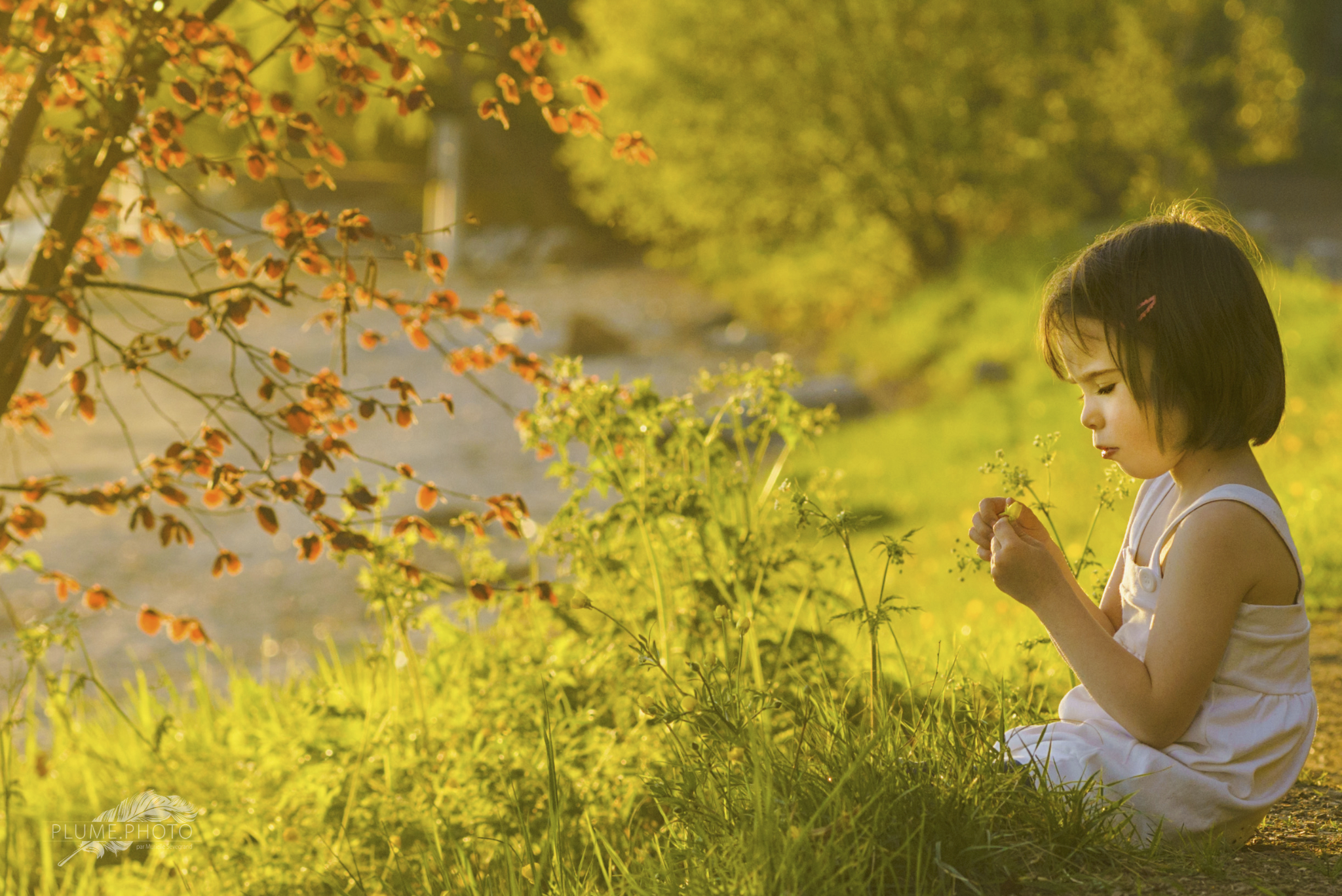 L'innocence