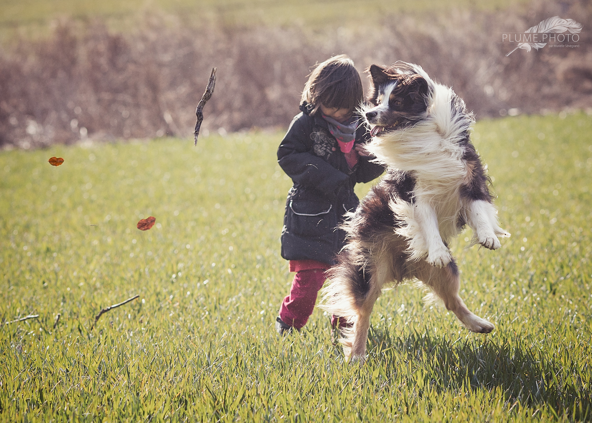 Jeu de chien et jeu d'enfant