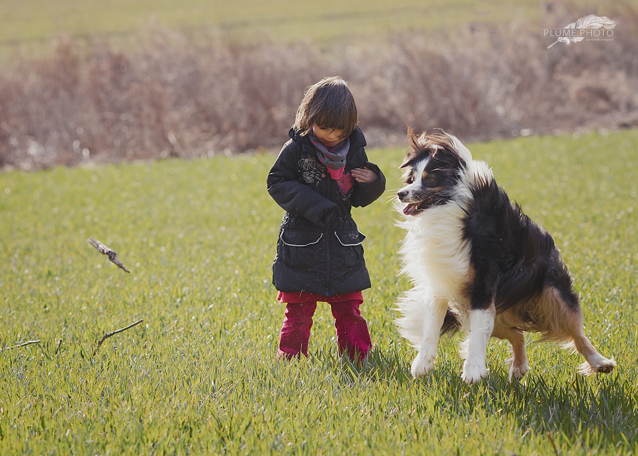 Jeu de chien et jeu d'enfant 2