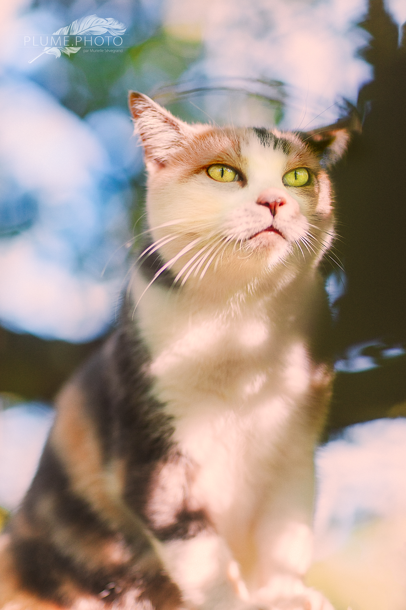 beautiful eyes