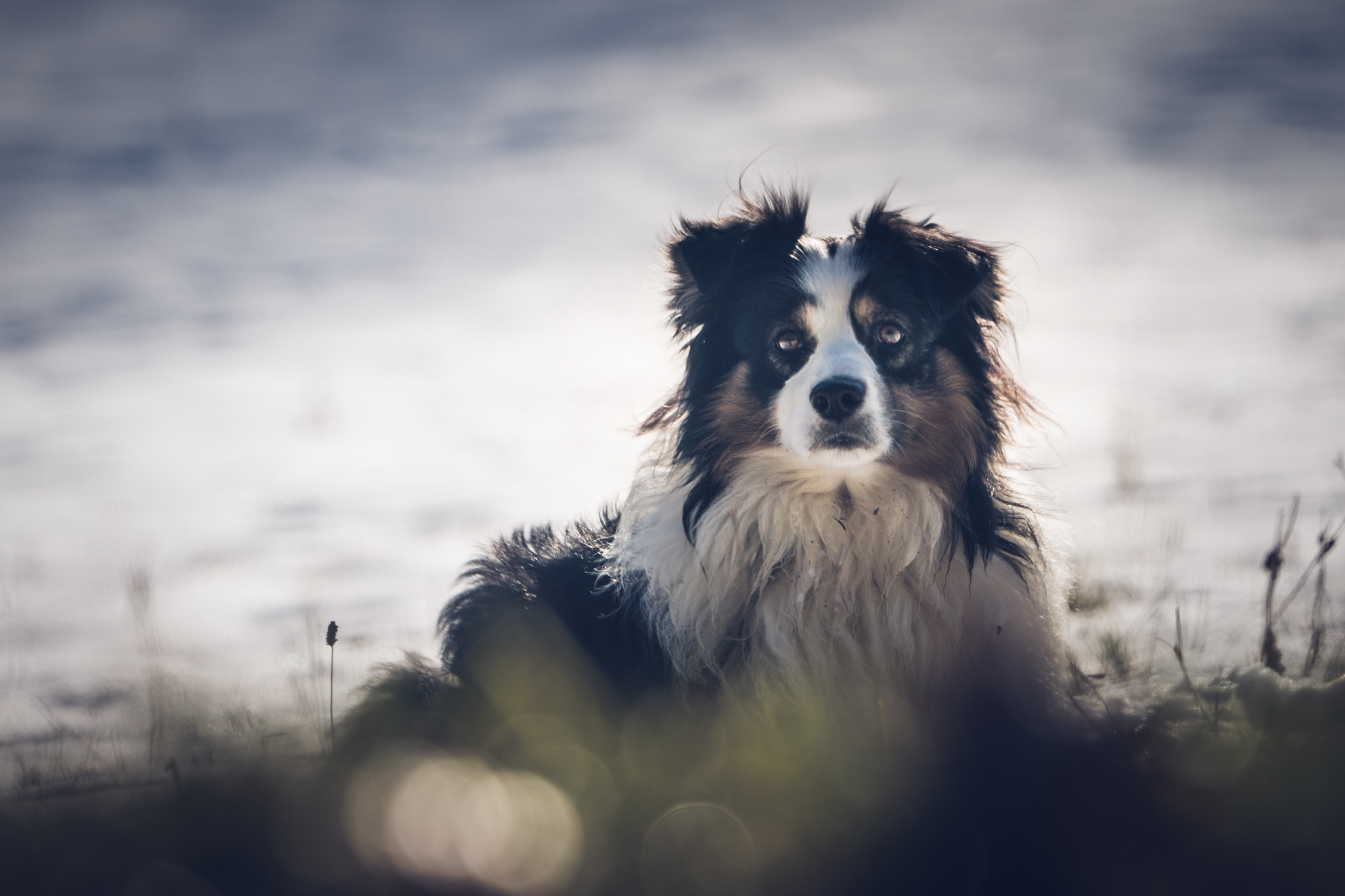 Www.plume.photo Milky way neige Crissier 6