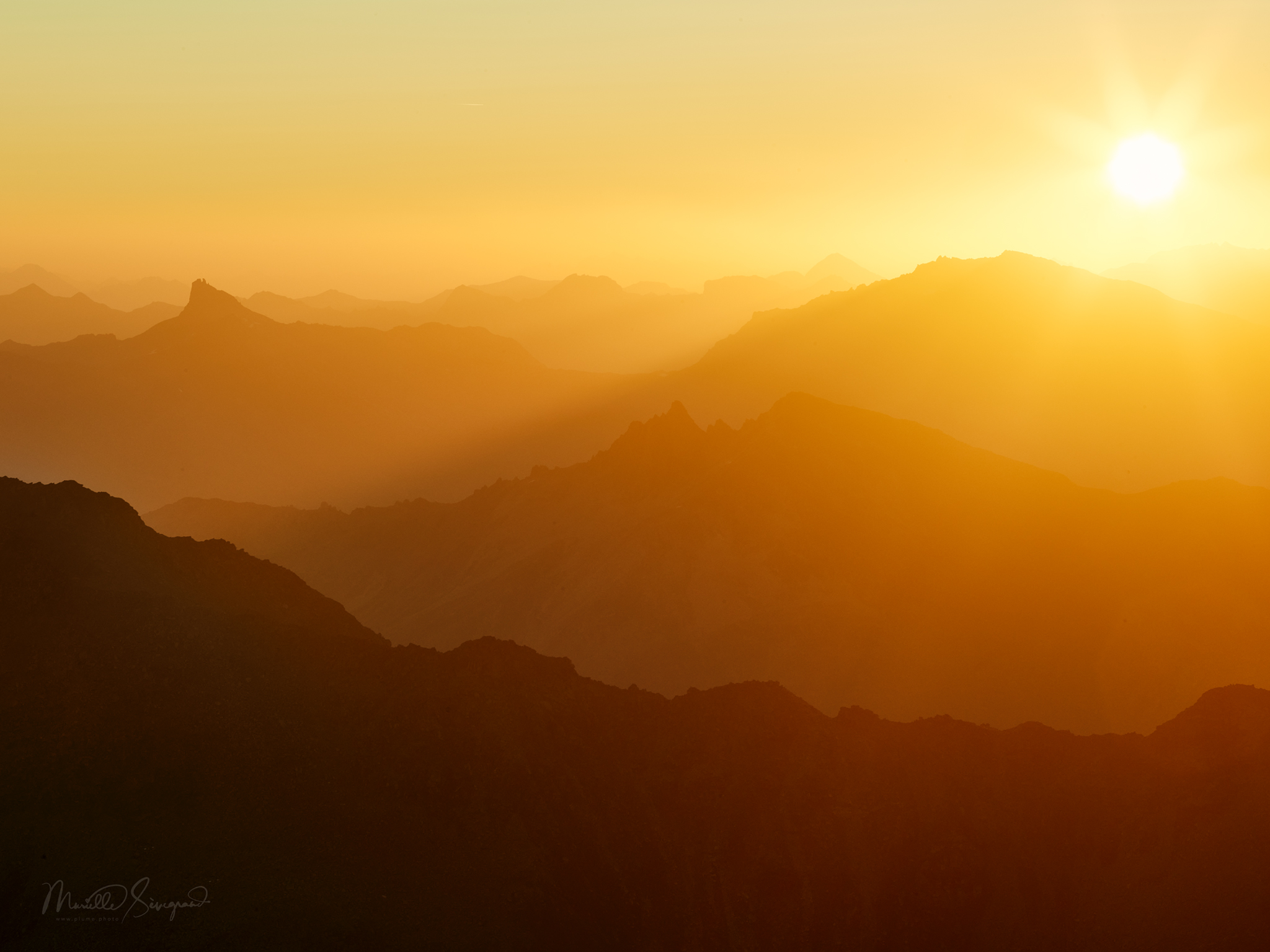 CF039138 MONT FORT LEVER DE SOLEIL MURELLE SEVEGRAND LOGO