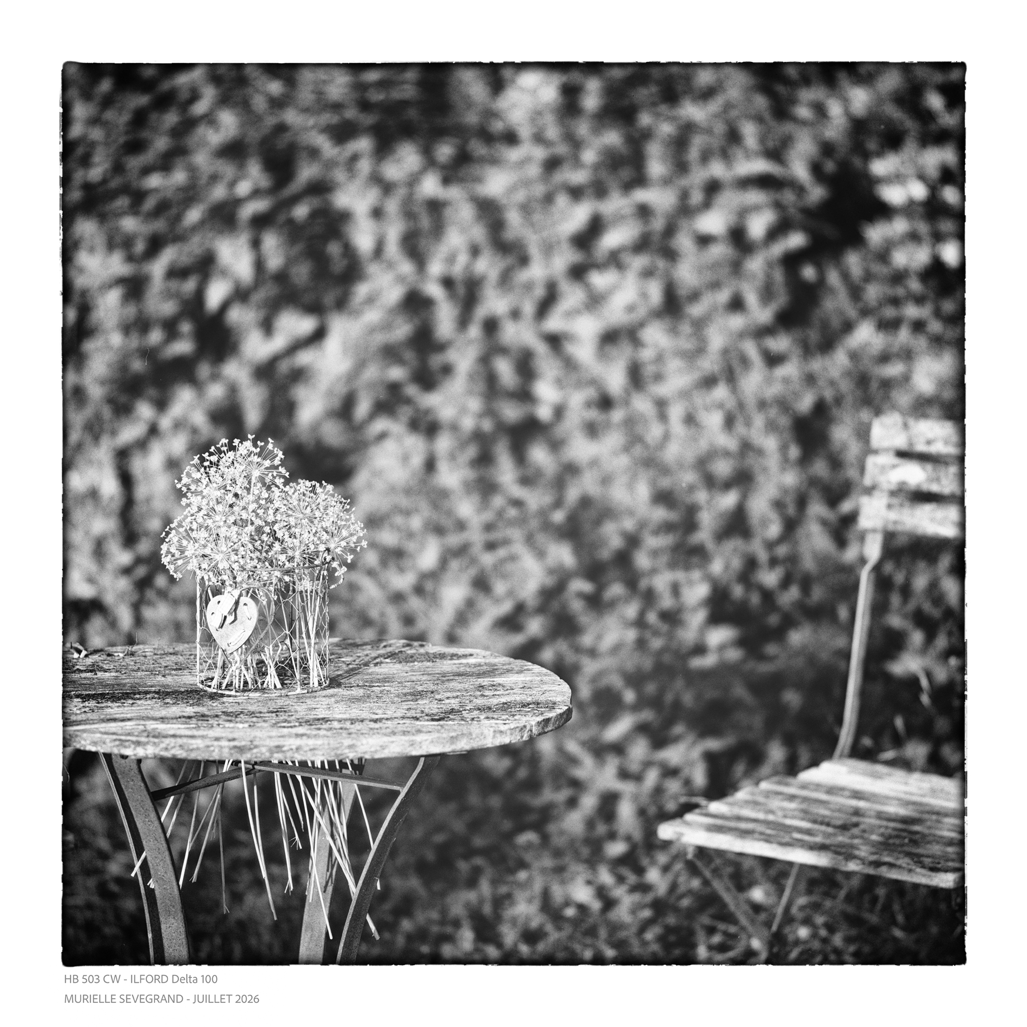 Neg nb 06.08.2026 00027 ©MURIELLE SEVEGRAND