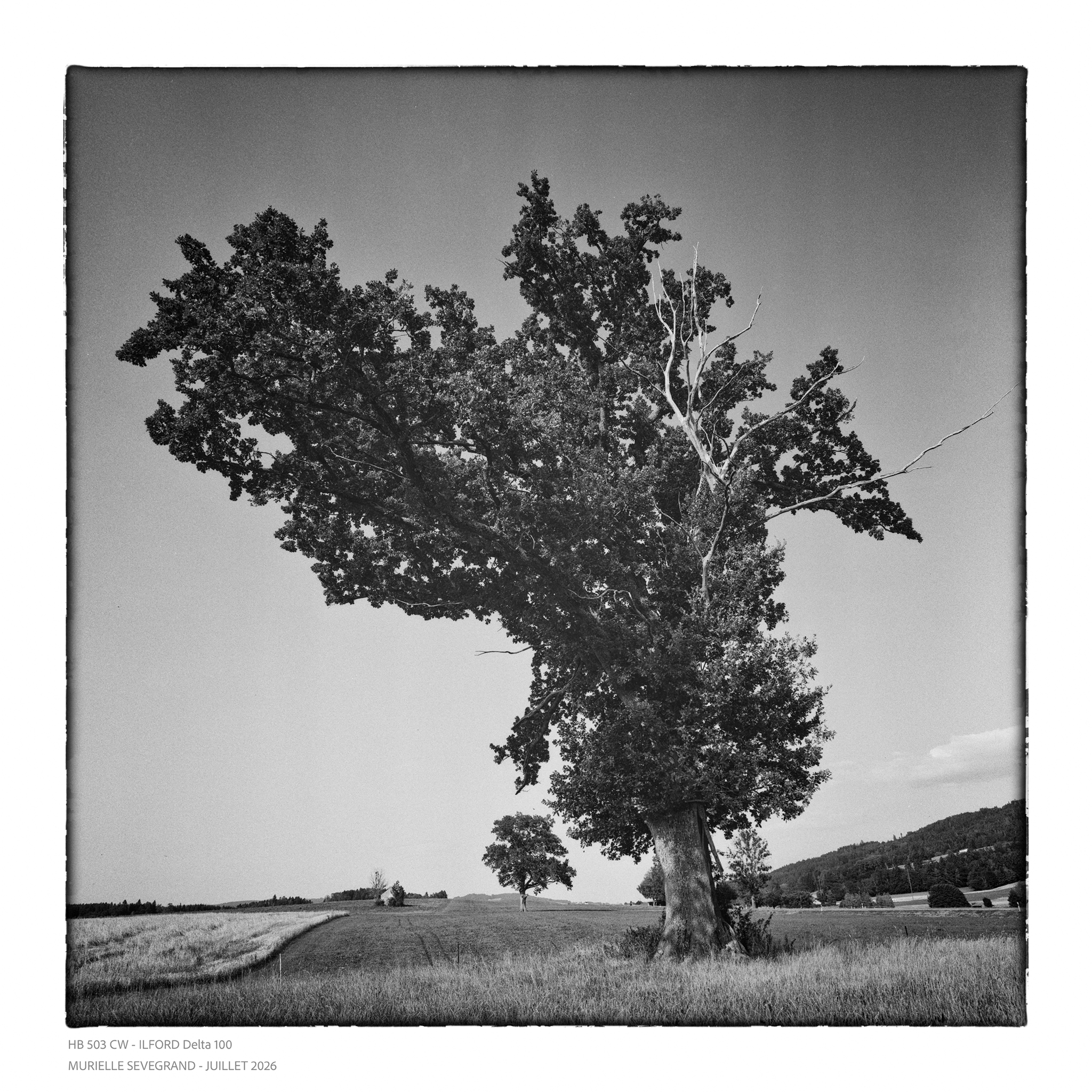 Neg nb 06.08.2026 00035 ©MURIELLE SEVEGRAND